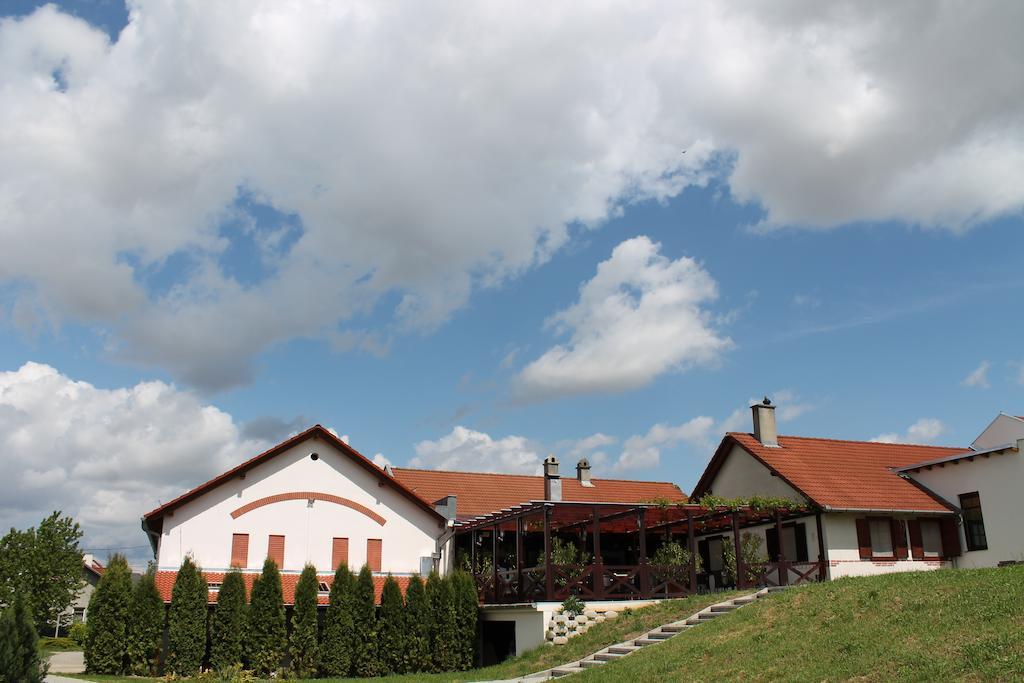 Hotel Tiffán's Pincészet és Panzió à Villány Extérieur photo
