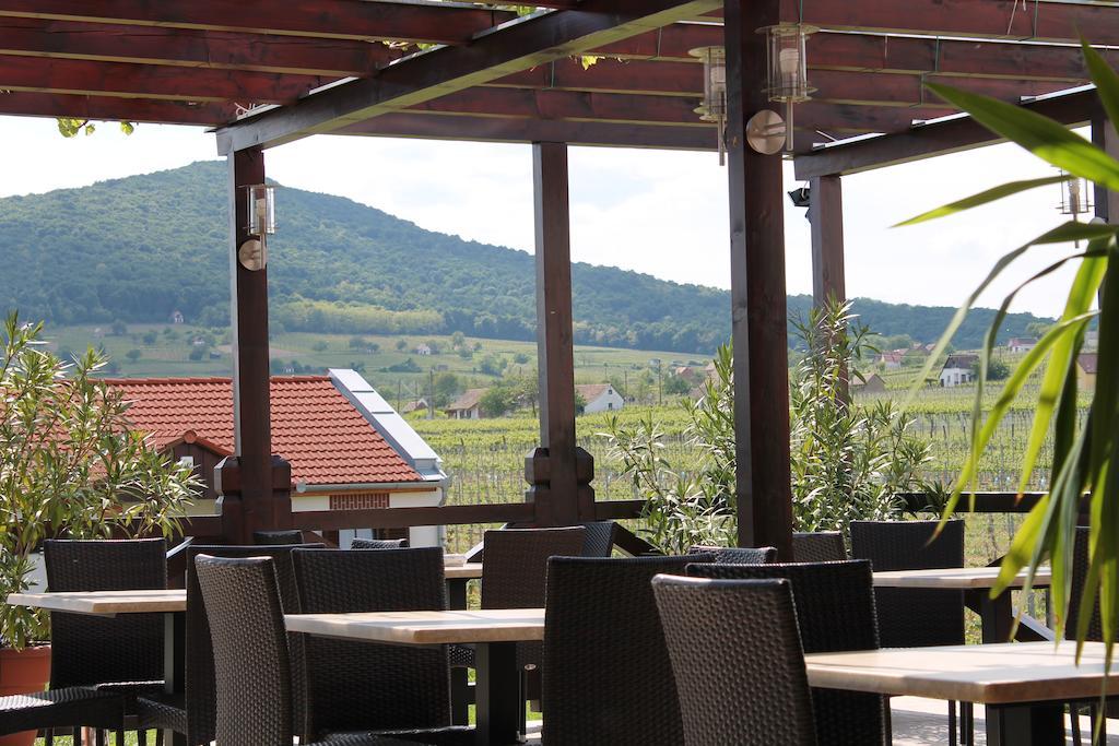Hotel Tiffán's Pincészet és Panzió à Villány Extérieur photo