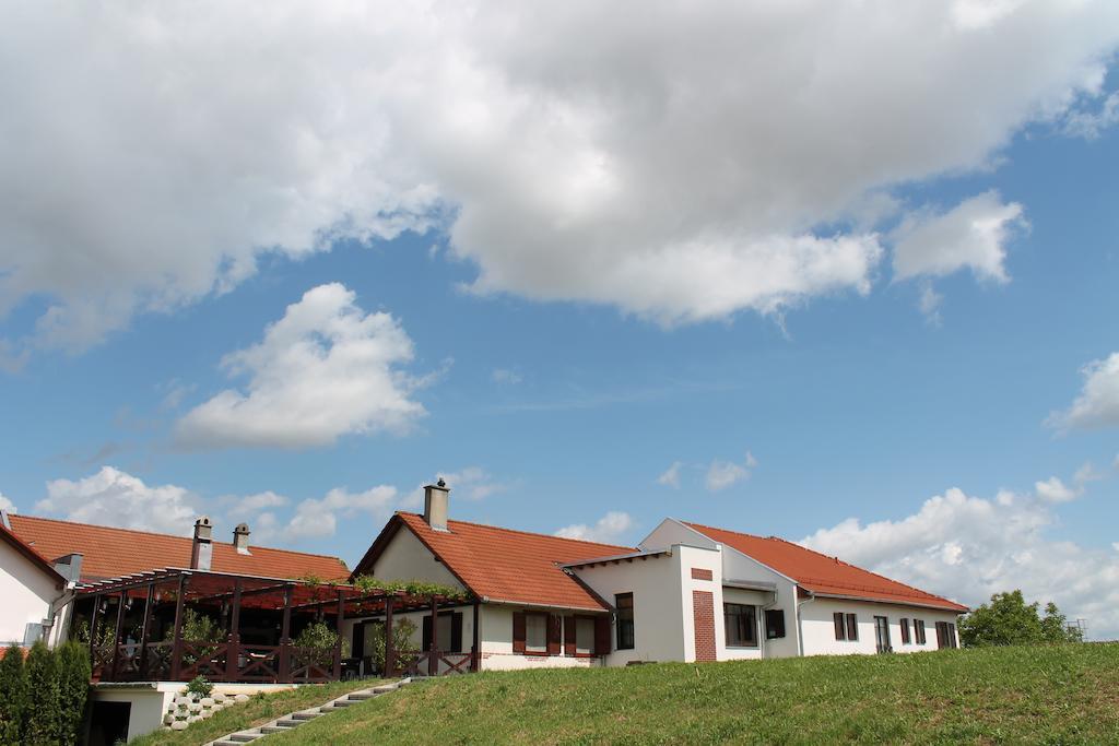 Hotel Tiffán's Pincészet és Panzió à Villány Extérieur photo